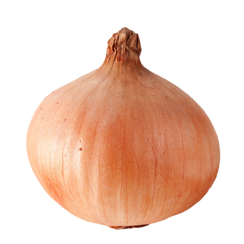 Гидра ссылка hydra ssylka onion com
