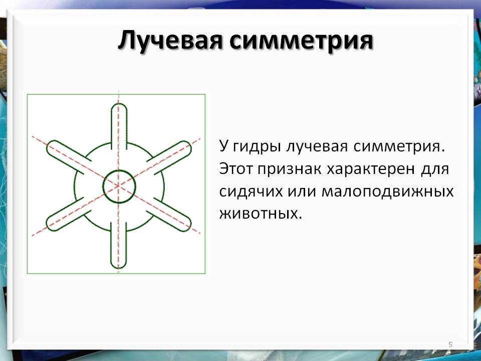 Сайт гидра магазин закладок москва