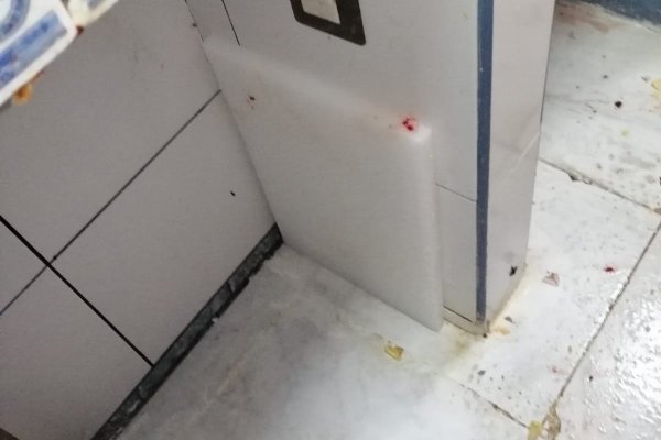Когда заработает солярис даркнет