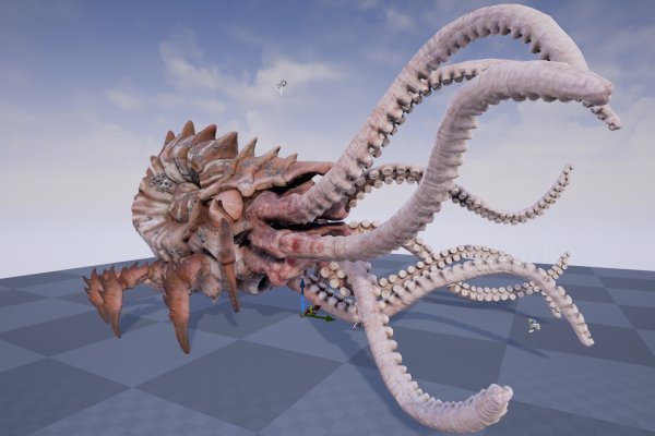 Kraken 5 at