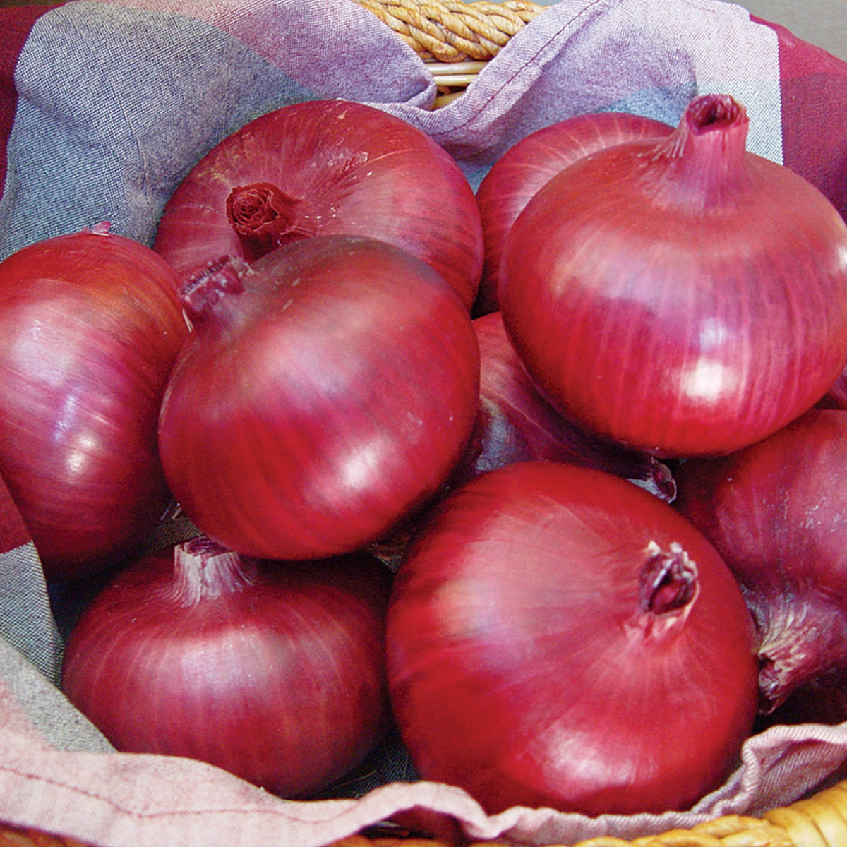Ссылка на сайт hydra onion
